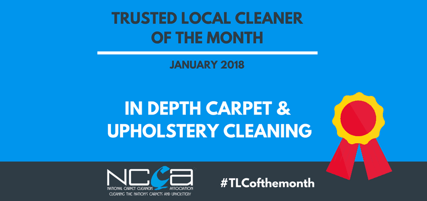 Trusted Local Cleaner for January - In Depth Carpet & Upholstery Cleaning