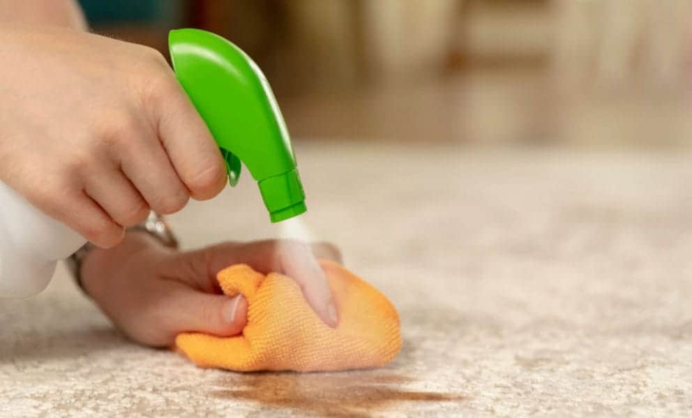 Professional vs DIY Carpet Cleaning
