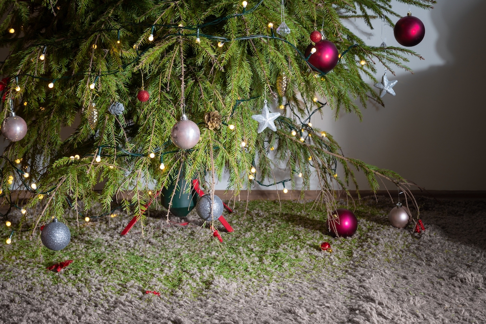 What’s the Best Way to Clean Up Pine Needles from Carpet?