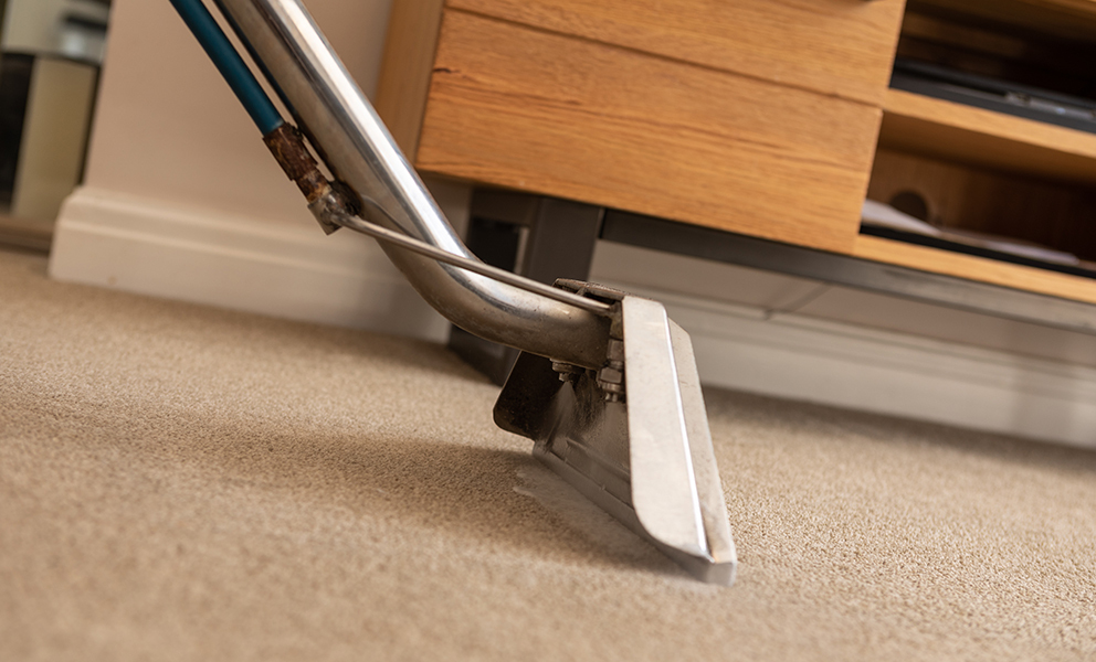 What Equipment Do You Need for a Carpet Cleaning Business_