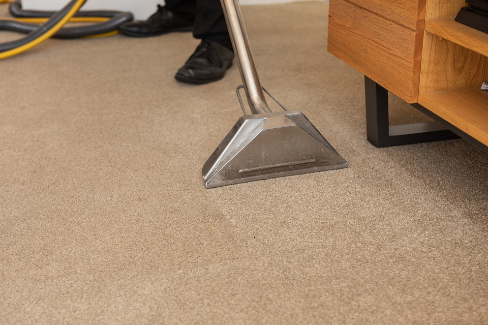 Carpet Deep Cleaning: When, Why & How