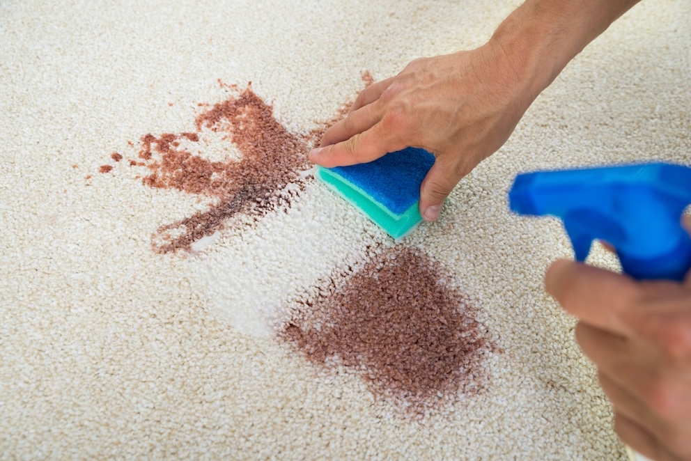 The Truth About DIY Carpet Cleaning: When to Call in the Professionals