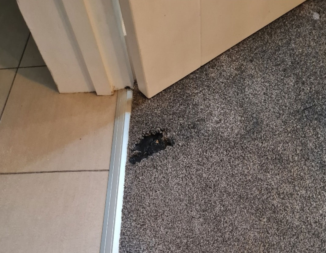 How to Repair Carpet: Tips for Mending Burns, Snags & Worn Areas