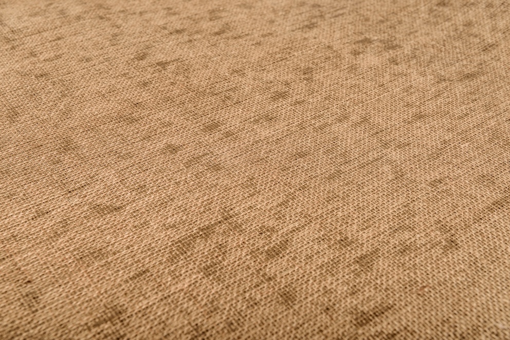 Preventing Carpet Mould: Long Term Strategies for a Healthy Home