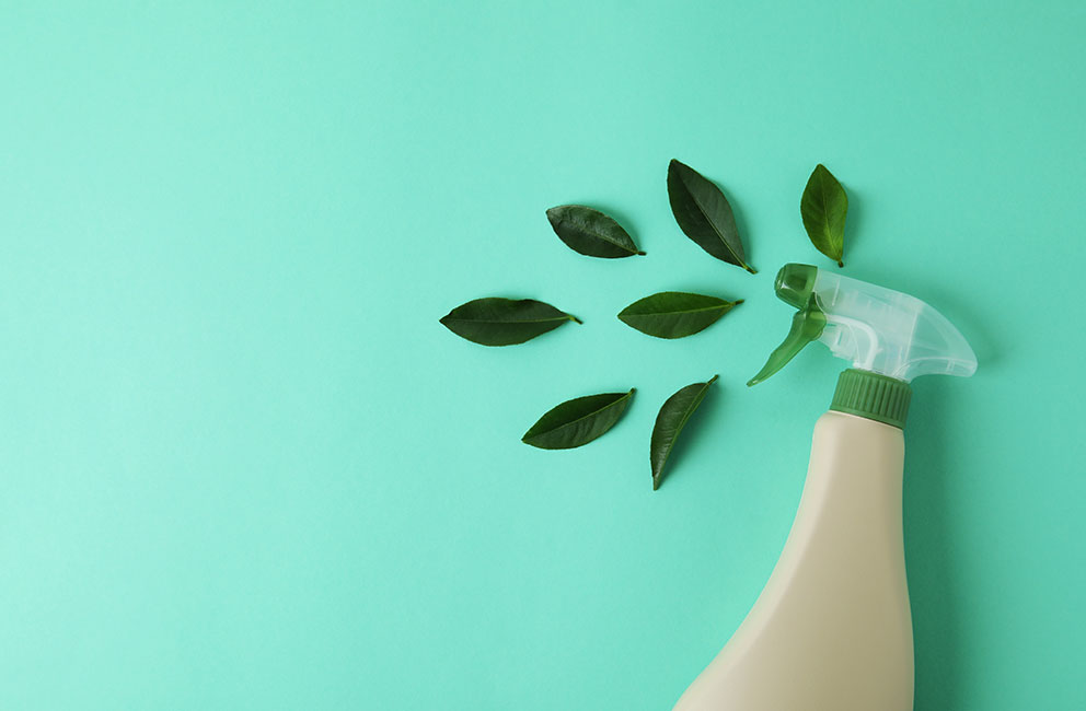 The Latest Trends in Eco-Friendly Cleaning Products