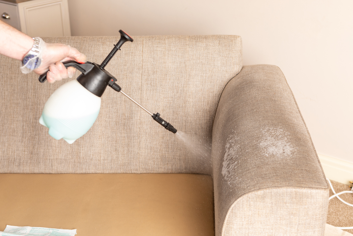6 Signs Your Upholstery Needs Professional Cleaning
